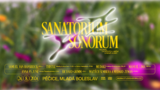 San Sonorum 2024 - Studio Hrdinů